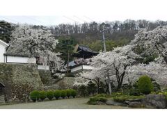 ��_���̍��̎ʐ^1