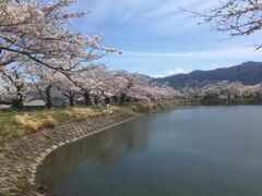 ���c�����@���Ղ�̎ʐ^1