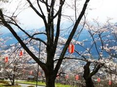 �����܂����܂�̎ʐ^1