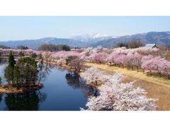 ����X�|�[�c�����̍��̎ʐ^1