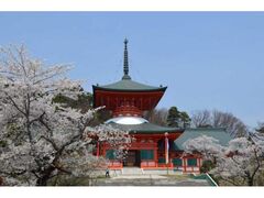 �_��a�̍��̎ʐ^1