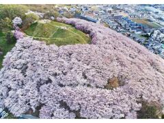 �O�@�R�Õ��̍��̎ʐ^1