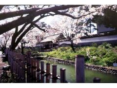 ��c�ˎ勏�ِՂ̍��̎ʐ^1