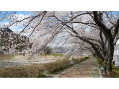 �˓c��̍���h�̎ʐ^1