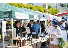 ���䃏�C���t�F�X�^�̎ʐ^1