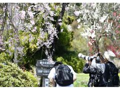 ���̓��ΔȃE�H�[�N���t�H�g�R���e�X�g�̎ʐ^1