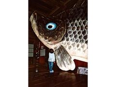 ��˖������@��˂̗��@�[�߂̐ߋ�̎ʐ^1