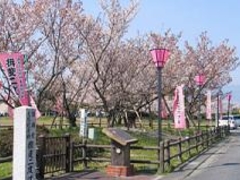 �K���x�U�N���̎ʐ^1