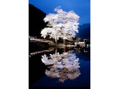 �c����̎ʐ^1