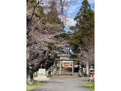 �È�_�Ђ̍՗�̎ʐ^1