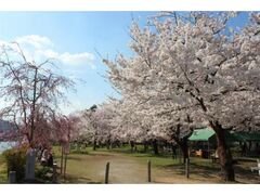 ��������̍��̎ʐ^1