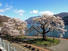 ������̊J�Ԃ̎ʐ^1