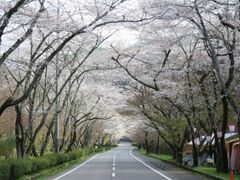 ����������{�������̍��̎ʐ^1