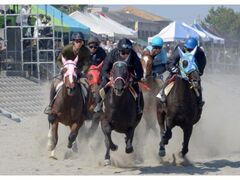 �����瑐���n���̎ʐ^1