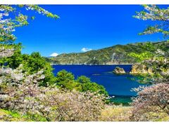 �����肳����܂�̎ʐ^1