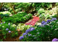 ���Ԍ���u�����������v�I�[�v���̎ʐ^1