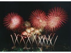 �t�G�M�C�C��ԉΑ��̎ʐ^1