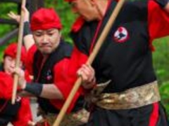 �����V��Ղ̎ʐ^1