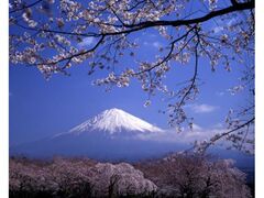 ��Ύ��̍��̎ʐ^1