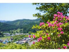 �a��������̂��̎ʐ^1