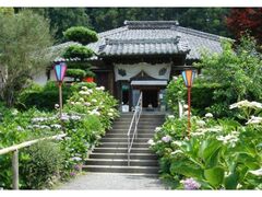 ���J�R�Ɋy���@�����������J���̎ʐ^1