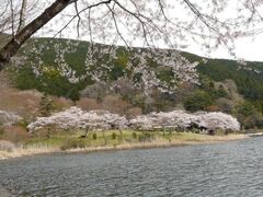 �c�ь΂̍��̎ʐ^1