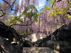 �������@�����܂�̎ʐ^1