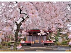 ��24���a����܂�̎ʐ^1