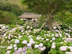 ����Ɓ@���������Ղ�̎ʐ^1