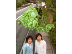 ���V��r�����̌�߉��̎ʐ^1