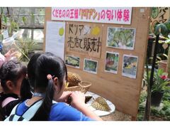 �g���s�J���t���[�c�t�F�A�̎ʐ^1