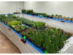 �ߕ������@�O���[���o�U�[���̎ʐ^1