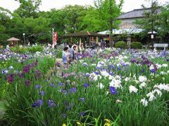 �m�������Ԃ��傤�Ԃ܂�̎ʐ^1