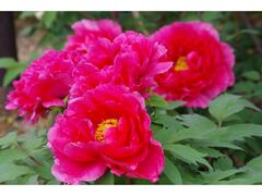 �t��w���@���쉀�@���O�Ղ̎ʐ^1