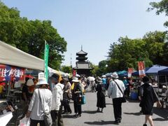 �����̐X�̏t�܂�̎ʐ^1