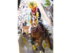 ���x�܂�i�グ�n�_���j�̎ʐ^1