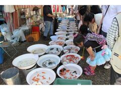 �����܂�̎ʐ^1