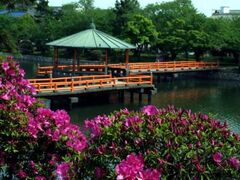 ��،������܂�̎ʐ^1