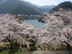 �N�P��_���������܂�̎ʐ^1