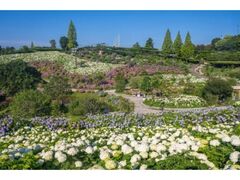 �����͂�̗��`�����ς̂ӂ邳�Ɓ`�u���������܂�v�̎ʐ^1