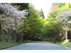 ��b�R������t�F�X�^�̎ʐ^1