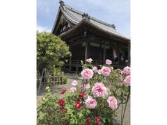 �������@�ڂ���܂�̎ʐ^1