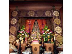 �O�䎛��c�q�Ղ̎ʐ^1