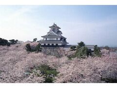 �L�����i���l��j�̍��̎ʐ^1