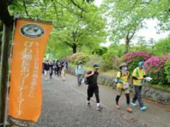 ���ꌧ���ő�E�I�[�L���O�̍ՓT�@�т�Β��l�c�[�f�[�}�[�`�̎ʐ^1