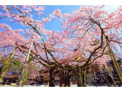 �����Ё@��������̎ʐ^1