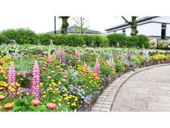 �݂��̐X�@�S�[���f���E�B�[�N�C�x���g�̎ʐ^1