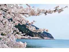 �C�Ñ��̍��̎ʐ^1