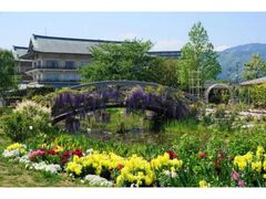 �т�Α�Êف@GW�t�@�~���[�t�F�X�^�̎ʐ^1