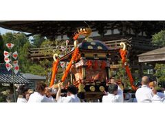 �c���Ղ̎ʐ^1